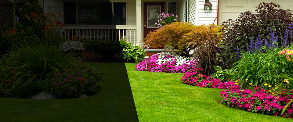 Palm Desert Landscapers