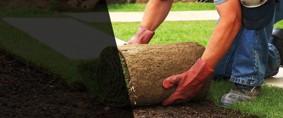Palm Desert Landscapers